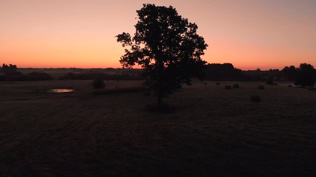 sunrise over the field