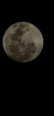 Fototapeta premium moon in the night sky