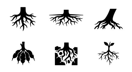 Fototapeta premium Root System Vector Icons, Plant Biology Graphics, Tree Foundation Symbols, Organic Growth Illustrations, Botanical Science Elements