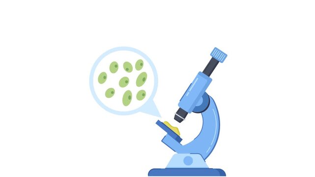 protozoa microorganisms microscope laboratory medical research animation