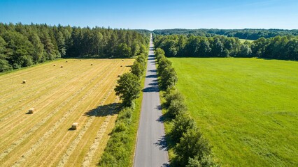 Fototapeta premium Peaceful rural countryside road winding through lush green fields and forest under bright daylight