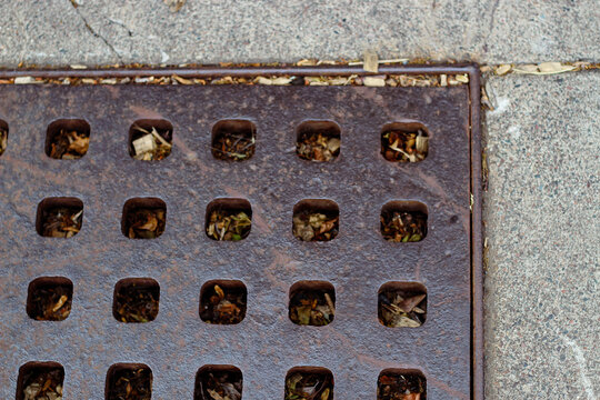 a stormwater catch basin or drain grate with holes located on a sidewalk or road surface designed to prevent flooding. leaves are beneath the surface