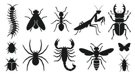 Collection of Various Black Insect Silhouettes Isolated on White Background © Dileesha