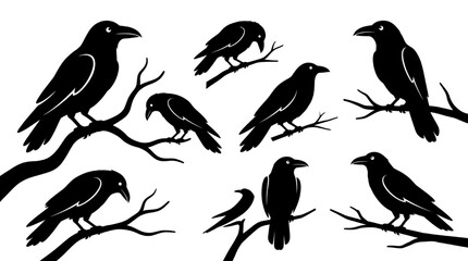 Naklejka premium Collection of black crow silhouettes perched on tree branches in various poses