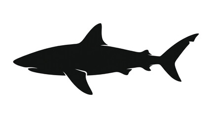 Obraz premium Dynamic silhouette of a powerful shark swimming in the vast ocean, symbolizing strength and wild marine life