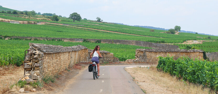 A woman rides her bicycle along a narrow road surrounded by vineyards in the Burgundy wine region of France, enjoying a tranquil summer countryside journey.