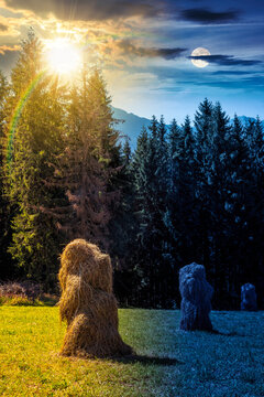 rural landscape with coniferous forest on a green hill. day meet night. sun and moon over spruce trees on grassy meadow in tatra mountains at twilight. summer solstice in poland. astrology wallpaper
