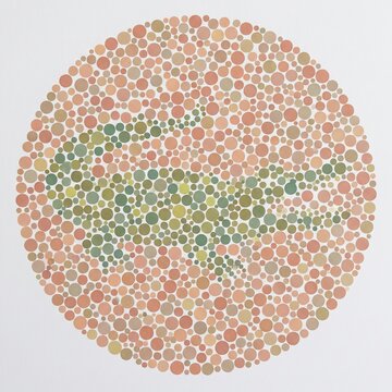 Color Blindness Test for Children with Hidden Green Silhouette in Ishihara Dot Pattern