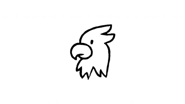 Animated 4K parrot macaw head doodle icon. Hand drawn line art on black and green screen chroma key background for exotic bird, tropical avian, pet parrot, feather wildlife, and zoo edits.