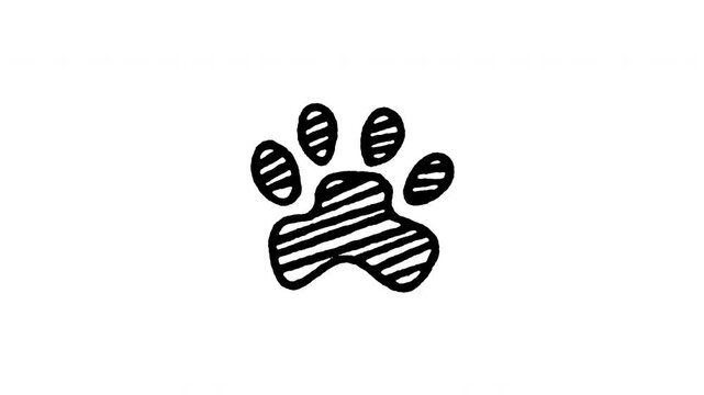 Hand drawn 4K paw print stamp doodle animation with boiling line effect. Frame by frame outline on black and green screen backgrounds, perfect for pet footprint, animal mark, cat dog track.
