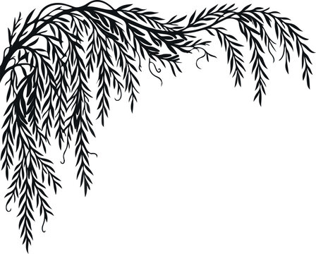 Weeping willow branch top corner frame border vector silhouette illustration