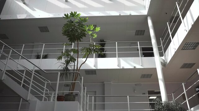 Low-angle modern atrium with tall potted tree beneath skylight, mezzanine railing, intersecting staircases, and shifting sunlight across white metal surfaces, with interior, atrium, mezzanine