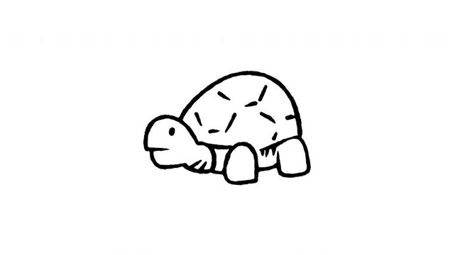 Hand drawn 4K Sulcata tortoise doodle animation with boiling line movement. Frame by frame line art on black and green screen backgrounds for reptile shell, exotic turtle, and slow pet edits.