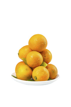 Fresh Kumquats with Water Droplets on White Plate - Small Citrus Fruits with Smooth Golden Skin
