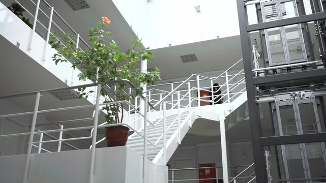 White metal staircase rising through bright atrium beside potted ficus, skylight, railings, upper walkway, elevator shaft, and clean modern interior architecture