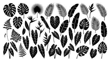 : Modern Tropical Leaf Silhouette Icon Pack with Exotic Botanical Foliage Vector Collection © Shohel