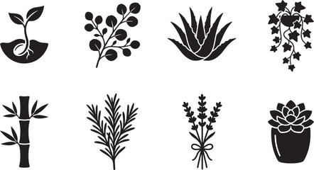 Black and white sprouting seed and botanical vector icons set featuring eucalyptus aloe vera and potted succulent © rofikgraph24