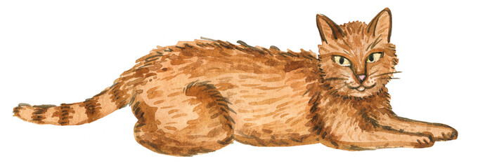 Watercolor Lying Ginger Tabby Cat Isolated on Black Background © turcanlena