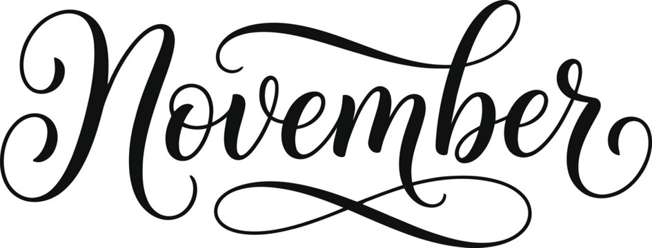 Elegant hand lettering of the word november written in a beautiful cursive script font isolated on a white background