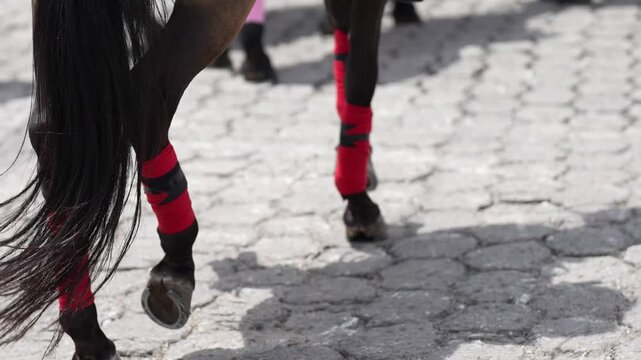 Brown horse legs with red decorations, dancing to the rhythm of the music.