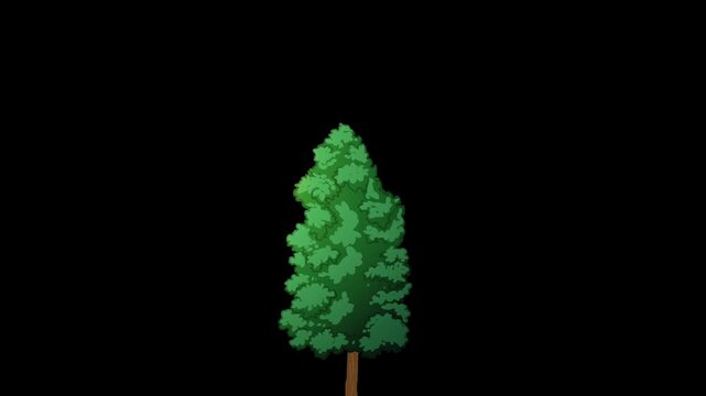 Animated 2D cartoon evergreen tree swaying gently in the wind with alpha channel. Isolated conifer pine plant motion graphic on transparent background for easy compositing.
