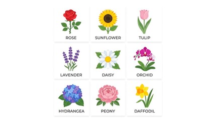Fototapeta premium Set of nine distinct flower icons including rose sunflower and lavender presented in a vibrant flat vector design for botanical illustrations or educational resources isolated on white