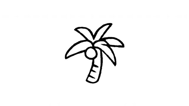 Animated doodle palm tree icon with line boil action. Features 4K frame by frame boiling line animation on black and green screen backgrounds for tropical island, beach vacation, and paradise.