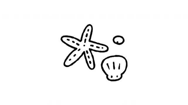 Animated 4K seashell and starfish doodle icon with line boil effect. Hand drawn line art on black and green screen backgrounds for beach ocean, marine life, coastal tropical, and sea shore edits.