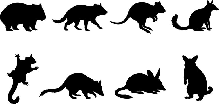 Australian Marsupial and Native Wildlife Silhouette Bundle with Wombat Kangaroo Possum and Bilby Vector Set