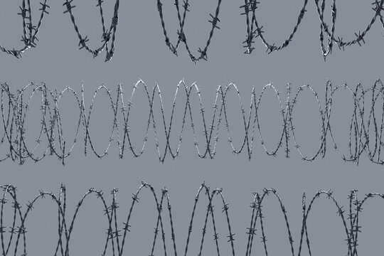 Coiled barbed wire against a clean grey background. Minimalist conceptual image of security, confinement, border control, or prison fence with sharp steel razor loops