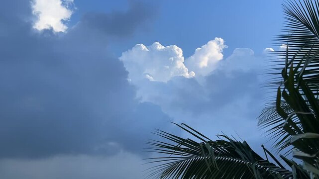 Full HD footage of dramatic monsoon clouds moving across blue sky with tropical palm fronds in foreground, creating moody weather, rainstorm, climate and nature background in a peaceful outdoor scene.