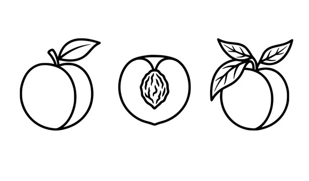 Three Peach Outline Vector Icons Minimal Black Line Fruit Collection on White Background