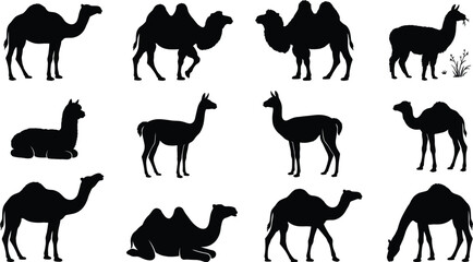 Desert Camel and Llama Silhouette Icon Collection with Wildlife and Pack Animal Symbols for Graphic Design Projects © GeetaRani