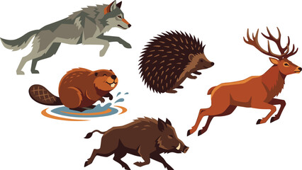 Obraz premium Wild woodland animals character set with running wolf deer wild boar beaver and hedgehog vector illustration bundle