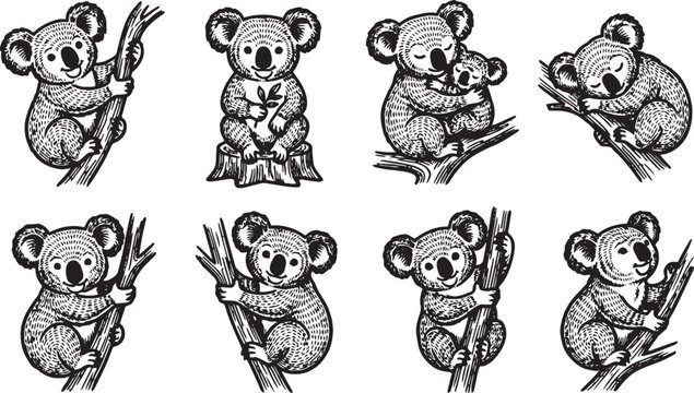 A set of koalas. Hand drawn vector illustration