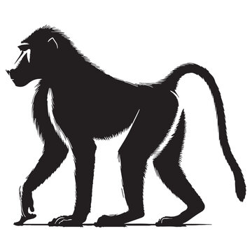 Baboon, Monkey, Primate, African, Wild, Safari, Jungle, Olive, Chacma, Hamadryas, Guinea, Yellow, Baby, Cute, Angry, Face, Portrait, Wildlife, Nature, Illustration, Drawing, Vector, Clipart.