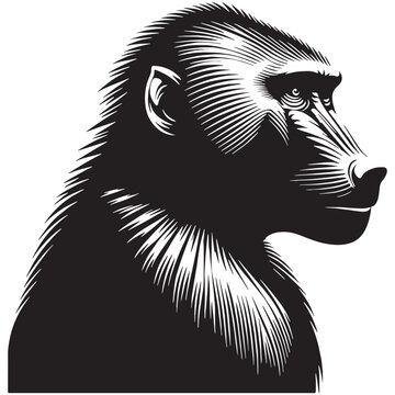 Baboon, Monkey, Primate, African, Wild, Safari, Jungle, Olive, Chacma, Hamadryas, Guinea, Yellow, Baby, Cute, Angry, Face, Portrait, Wildlife, Nature, Illustration, Drawing, Vector, Clipart.
