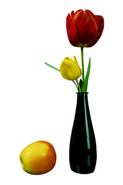 Red and Yellow Tulips in a Black Minimalist Vase Isolated on White Background