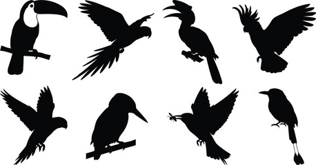 Obraz premium Tropical Bird Silhouette Icon Collection with Exotic Avian and Flying Animal Symbols for Nature Graphic Design Projects