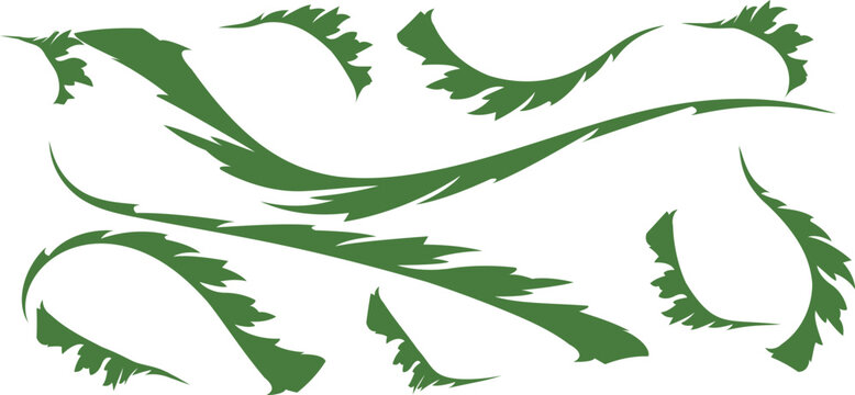 Green feather vector set with jagged edges, organic leaf brush strokes in forest green, decorative curved plume elements for graphic design, abstract nature foliage illustrations