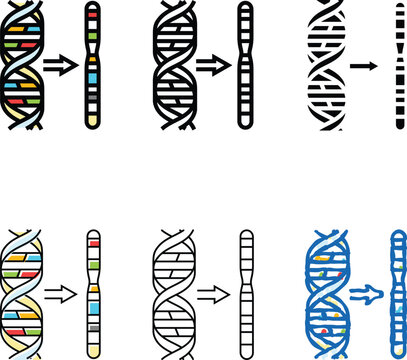 chromosome genetic engineering color icon vector. chromosome genetic engineering sign. isolated forms symbol