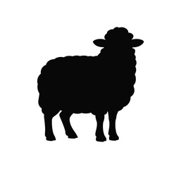 Silhouette of a Sheep. A striking black silhouette of a sheep stands with its head held high, showcasing its woolly fleece and distinctive profile against a clean background. © Vector By Kolpona