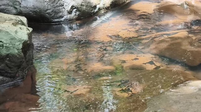 Crystal-clear stream forming a natural pool beneath overhanging rocks. Transparent water reveals rocky streambed and moss-covered boulders. Ideal for nature relaxation content, swimming location guide