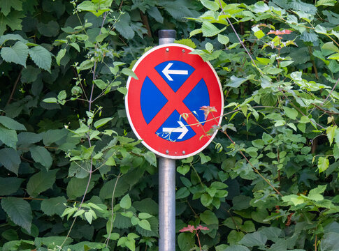 Verkehrsschild absolutes Halteverbot