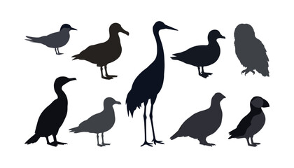 Fototapeta premium Flat vector collection of various wild bird silhouettes including crane owl puffin cormorant gull and duck elements set