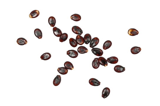 Watermelon seeds, macro isolated on white background, top view