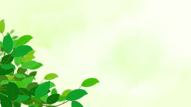 green leaves on a sunny day