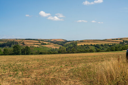 Rolling hills and dry grassy fields in rural Cornwall under a blue sky with scattered clouds
