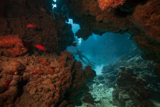 Beautiful coral reef cave with scuba diver and red fish underwater