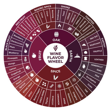 Wine Flavor Wheel Chart for Tasting Notes